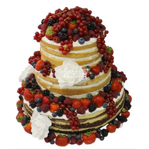 img-3.jpg img-3.jpg